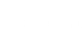 ThreadTrend
